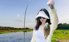 波多野结衣无码AV